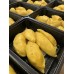 Mao Shan Wang 500grams